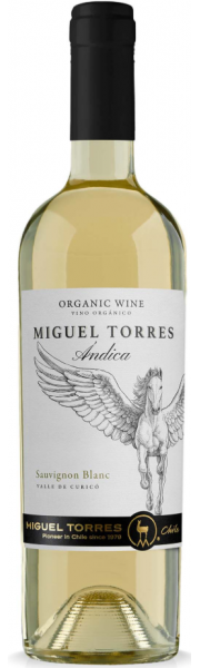 Sauvignon Blanc Torres Andica Organic   Chile
